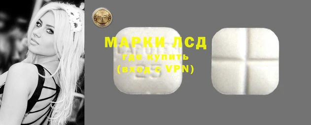 эйфоретик Аркадак