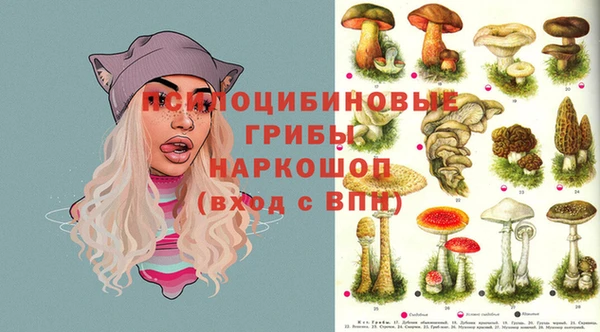 скорость Арсеньев