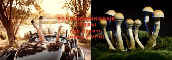 эйфоретик Аркадак