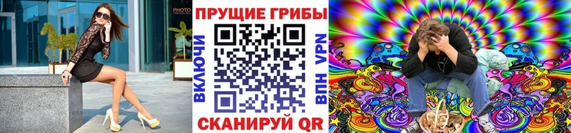 Галлюциногенные грибы Psilocybe цена Шацк