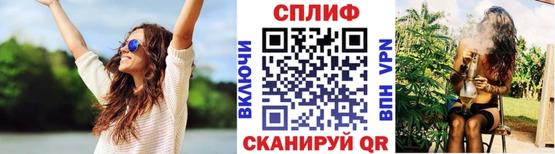 blacksprut ссылка  Шацк  Каннабис сатива 